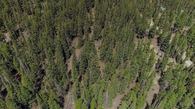 503 Golden Hills Rd, Alma, CO 80420 - photo 25