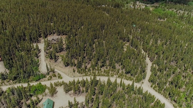503 Golden Hills Rd, Alma, CO 80420 - photo 22