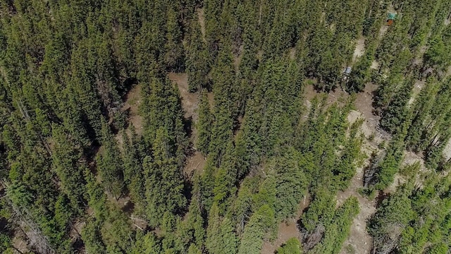 503 Golden Hills Rd, Alma, CO 80420 - photo 26