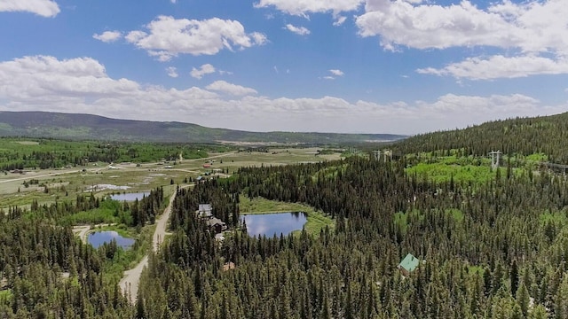 503 Golden Hills Rd, Alma, CO 80420 - photo 19