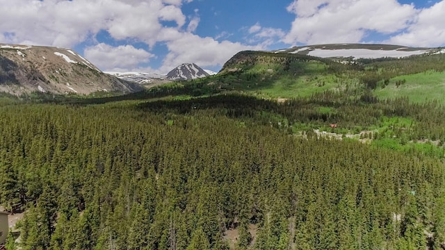 503 Golden Hills Rd, Alma, CO 80420 - photo 11
