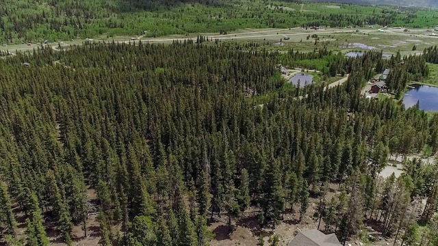 503 Golden Hills Rd, Alma, CO 80420 - photo 27