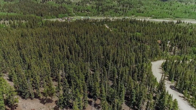 503 Golden Hills Rd, Alma, CO 80420 - photo 28