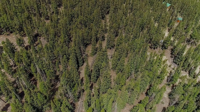 503 Golden Hills Rd, Alma, CO 80420 - photo 24