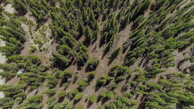 503 Golden Hills Rd, Alma, CO 80420 - photo 32