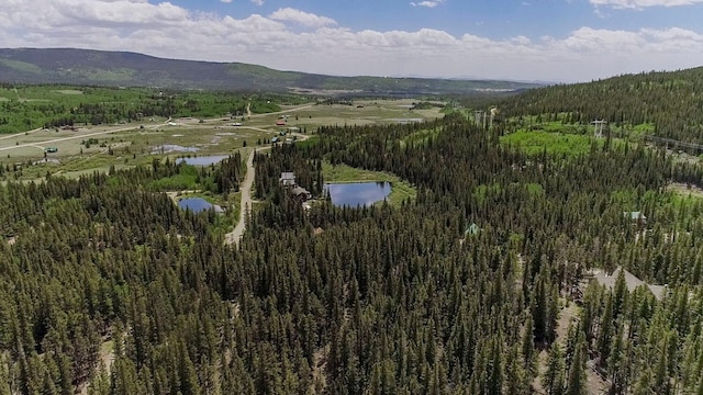 503 Golden Hills Rd, Alma, CO 80420 - photo 20