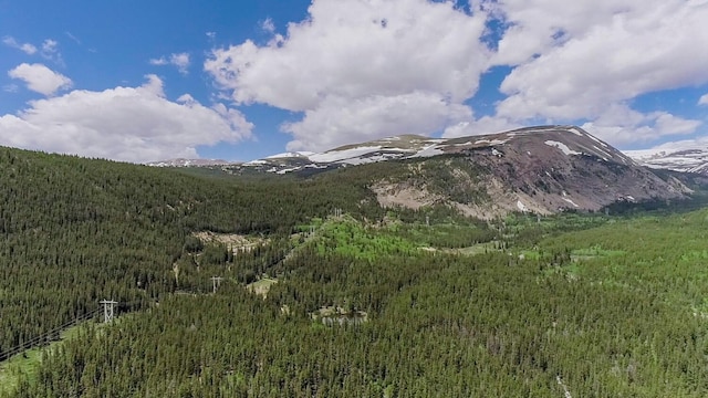 503 Golden Hills Rd, Alma, CO 80420 - photo 2