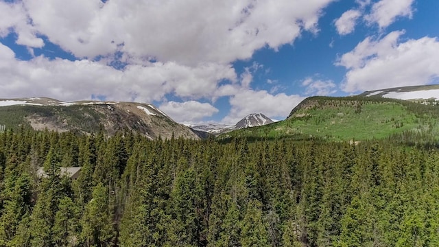 503 Golden Hills Rd, Alma, CO 80420 - photo 9