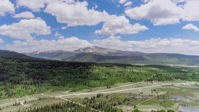 503 Golden Hills Rd, Alma, CO 80420 - photo 36