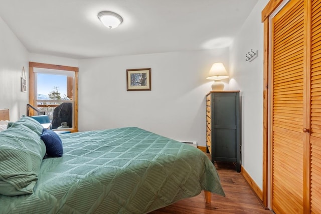 bedroom featuring baseboards, wood finished floors, a closet, and a baseboard radiator