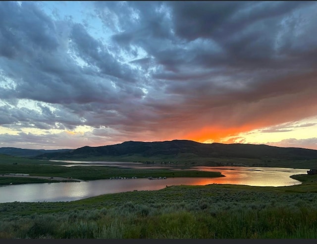 31510 Shoshone Way, Oak Creek, CO 80467 - photo 11
