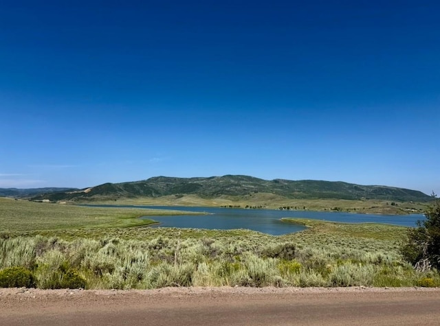 31510 Shoshone Way, Oak Creek, CO 80467 - photo 5