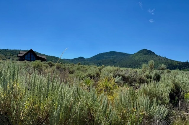 31510 Shoshone Way, Oak Creek, CO 80467 - photo 3