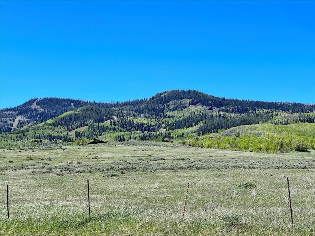 31510 Shoshone Way, Oak Creek, CO 80467 - photo 9
