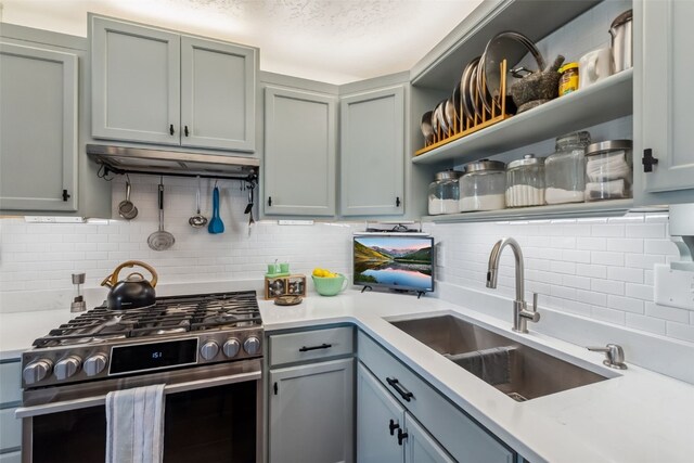 340 Straight Creek Dr Unit 206, Dillon, CO 80435 - kitchen with stainless steel gas range, open shelves, under cabinet range hood, decorative backsplash, and light countertops
