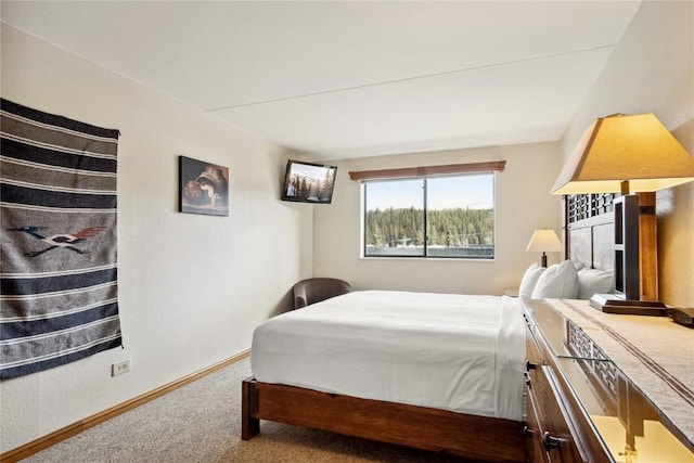 611 Village Rd Unit 21170, Breckenridge, CO 80424 - carpeted bedroom with baseboards