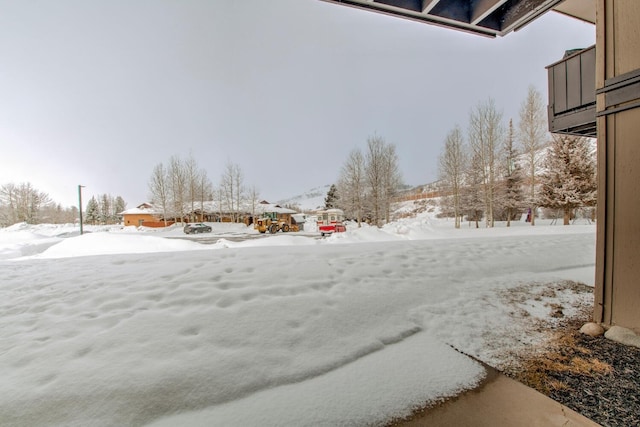 view of yard layered in snow