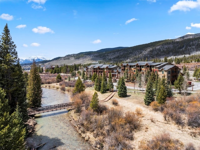 22714 US Highway 6 Unit 5977, Keystone, CO 80435 - view of mountain backdrop