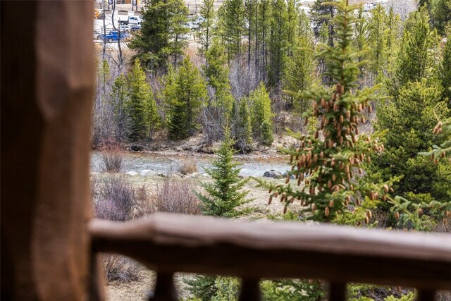 22714 US Highway 6 Unit 5977, Keystone, CO 80435 - view of nature
