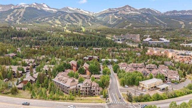 33 Broken Lance Dr Unit 206S, Breckenridge, CO 80424 - photo 30