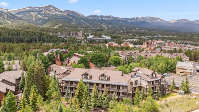 33 Broken Lance Dr Unit 206S, Breckenridge, CO 80424 - photo 6