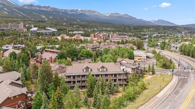 33 Broken Lance Dr Unit 206S, Breckenridge, CO 80424 - photo 29