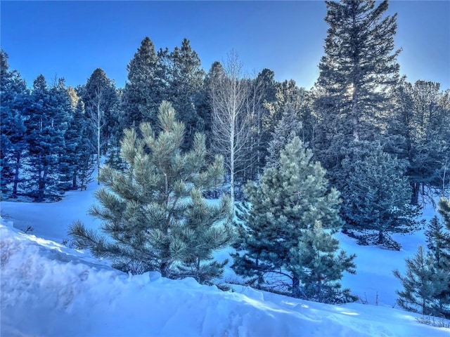 1174 Monarch Dr, Cripple Creek, CO 80813 - photo 9