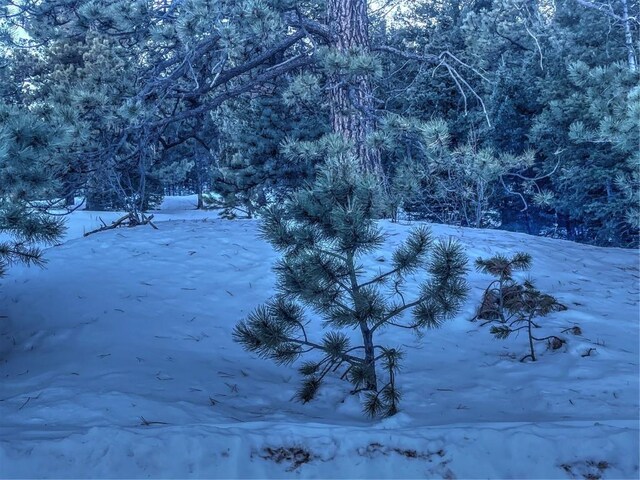 1174 Monarch Dr, Cripple Creek, CO 80813 - photo 27