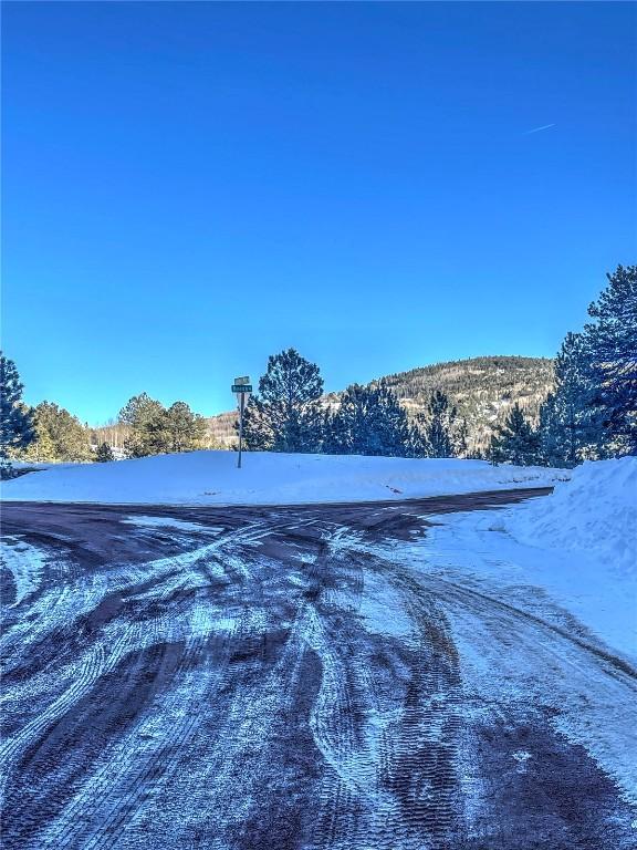 1174 Monarch Dr, Cripple Creek, CO 80813 - photo 18