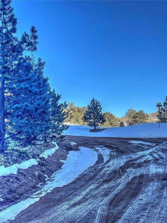 1174 Monarch Dr, Cripple Creek, CO 80813 - photo 17