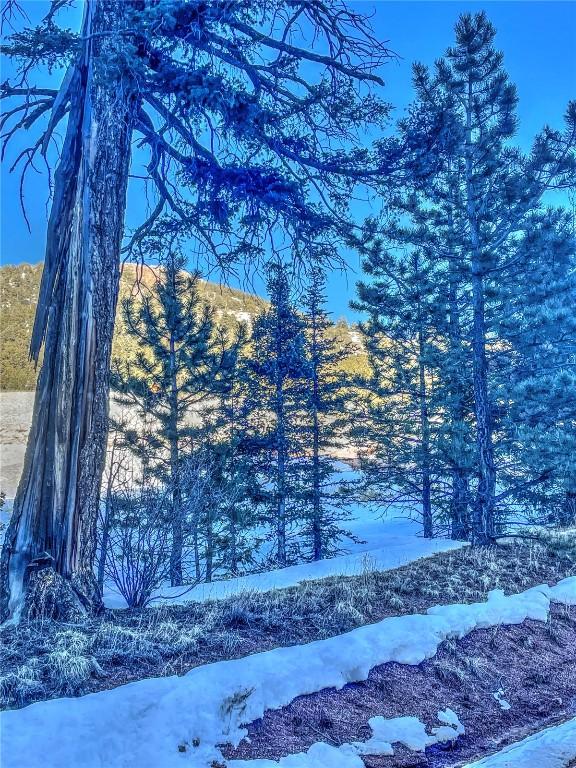 1174 Monarch Dr, Cripple Creek, CO 80813 - photo 16