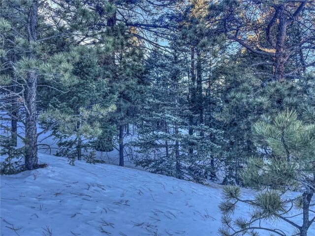 1174 Monarch Dr, Cripple Creek, CO 80813 - photo 1