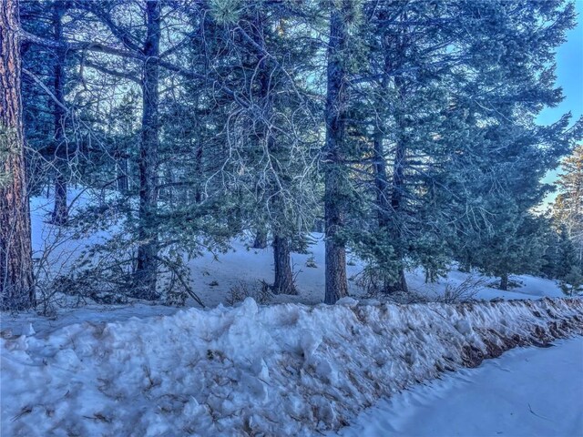 1174 Monarch Dr, Cripple Creek, CO 80813 - photo 3