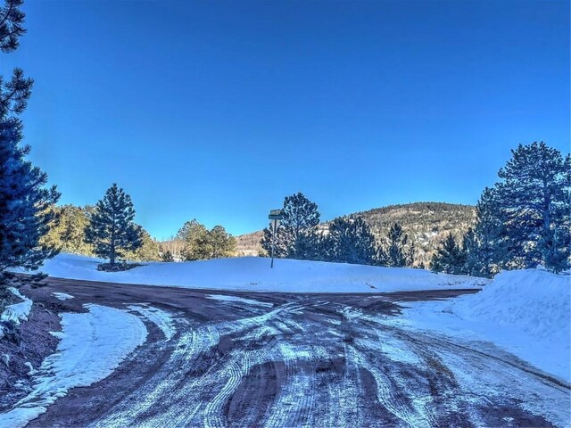 1174 Monarch Dr, Cripple Creek, CO 80813 - photo 25