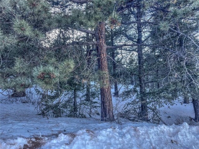 1174 Monarch Dr, Cripple Creek, CO 80813 - photo 2