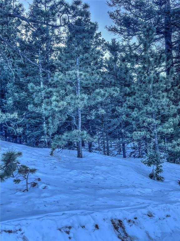 1174 Monarch Dr, Cripple Creek, CO 80813 - photo 20