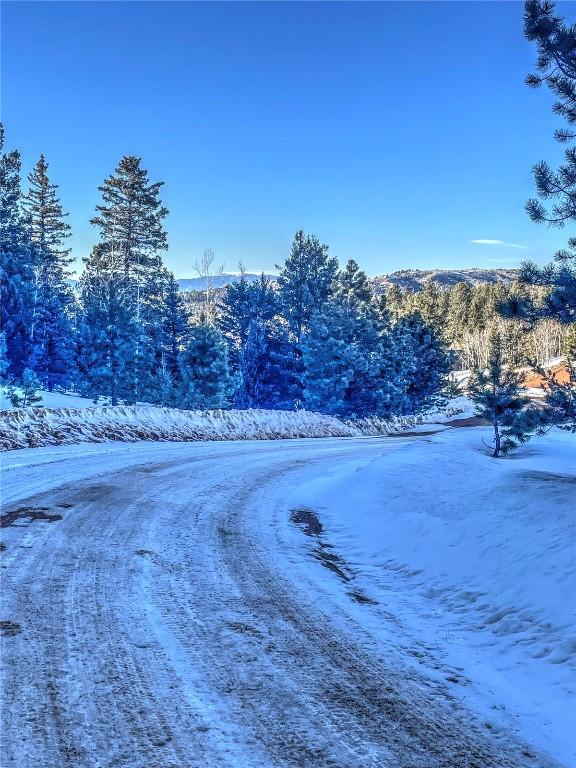 1174 Monarch Dr, Cripple Creek, CO 80813 - photo 15
