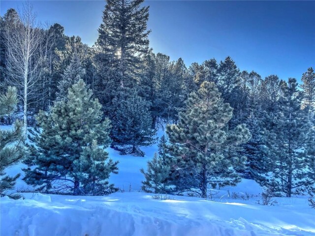 1174 Monarch Dr, Cripple Creek, CO 80813 - photo 10