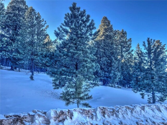 1174 Monarch Dr, Cripple Creek, CO 80813 - photo 7