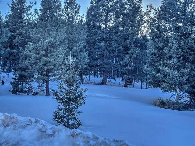 1174 Monarch Dr, Cripple Creek, CO 80813 - photo 13