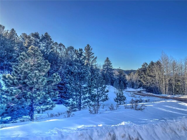 1174 Monarch Dr, Cripple Creek, CO 80813 - photo 11
