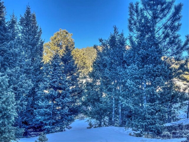 1174 Monarch Dr, Cripple Creek, CO 80813 - photo 23
