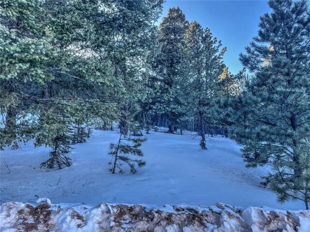 1174 Monarch Dr, Cripple Creek, CO 80813 - photo 6