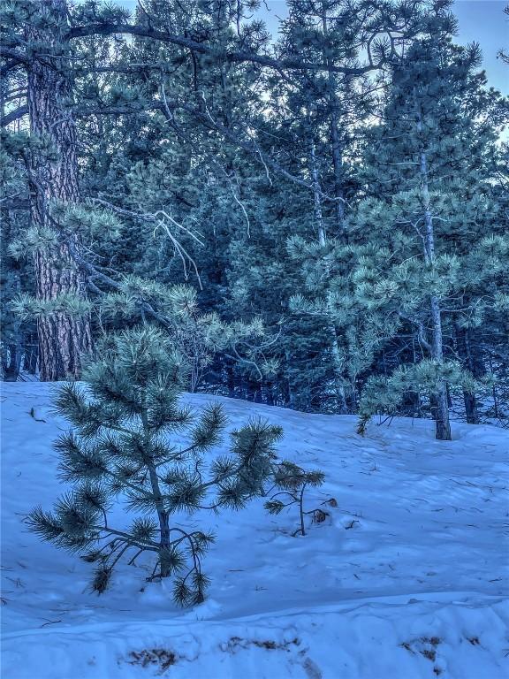 1174 Monarch Dr, Cripple Creek, CO 80813 - photo 19