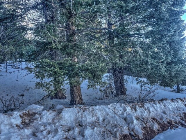 1174 Monarch Dr, Cripple Creek, CO 80813 - photo 4