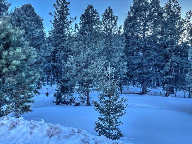 1174 Monarch Dr, Cripple Creek, CO 80813 - photo 12
