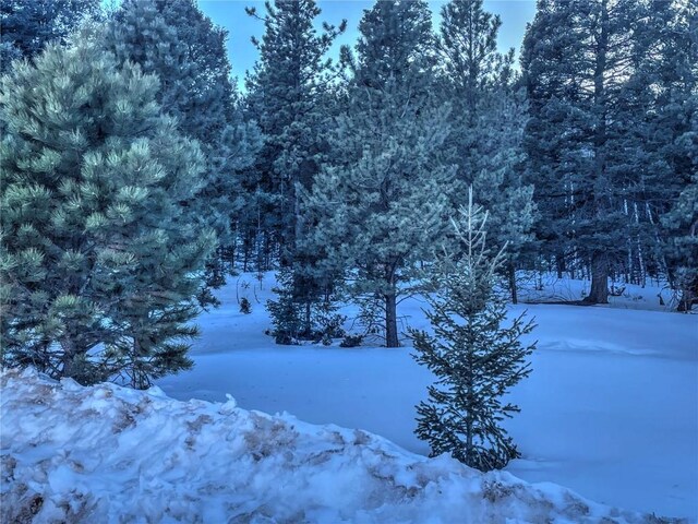 1174 Monarch Dr, Cripple Creek, CO 80813 - photo 14