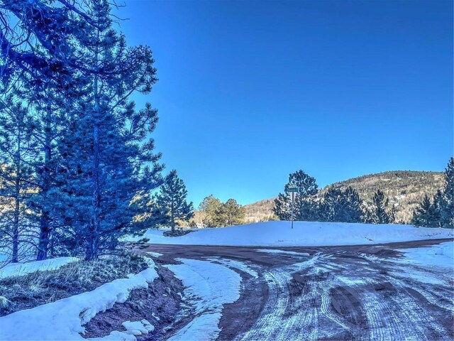 1174 Monarch Dr, Cripple Creek, CO 80813 - photo 24