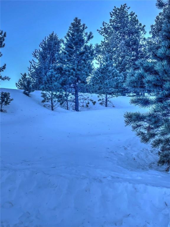 1174 Monarch Dr, Cripple Creek, CO 80813 - photo 21