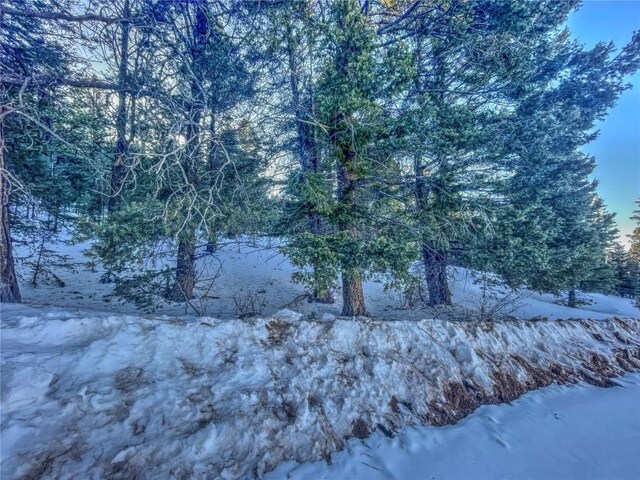 1174 Monarch Dr, Cripple Creek, CO 80813 - photo 5